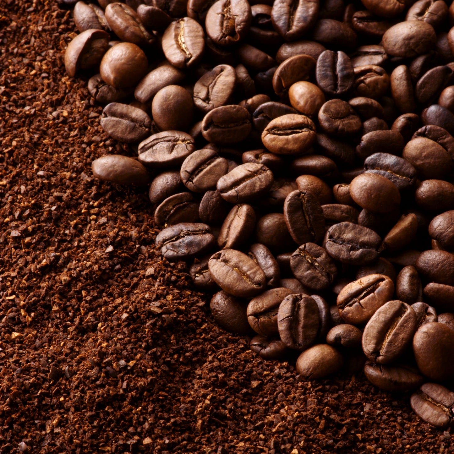Amalfi Coast - Light Roast
